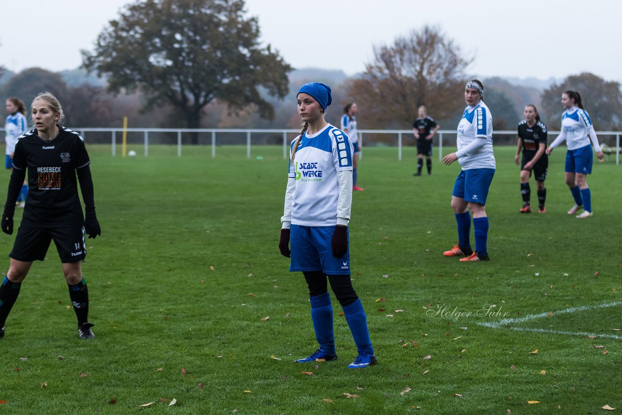 Bild 158 - Frauen SV Henstedt Ulzburg III - Bramstedter TS : Ergebnis: 1:0